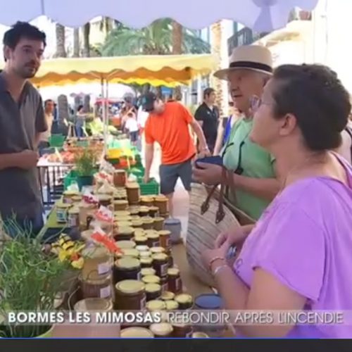 Reportage sur TF1 : “Reconstruire après les cendres”