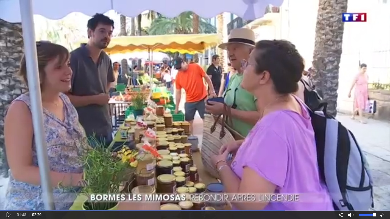 You are currently viewing Reportage sur TF1 : “Reconstruire après les cendres”