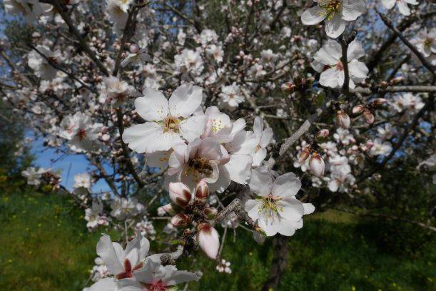 You are currently viewing Les visites de printemps