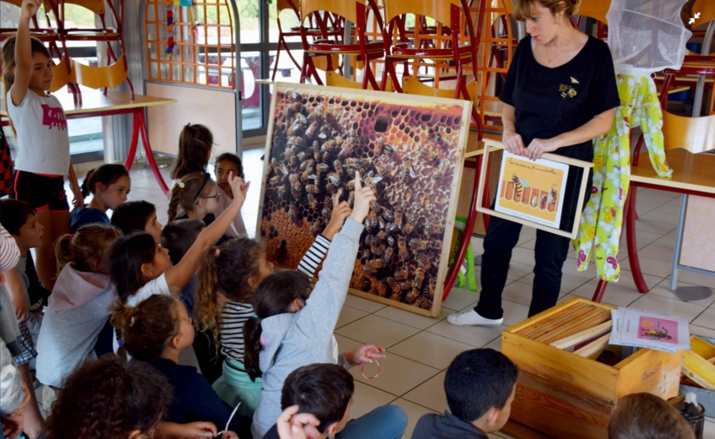 Découverte des abeilles à l'Ecole de Bormes les Mimosas