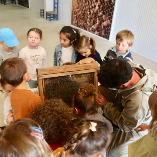 Accueil de Loisirs Maternelle