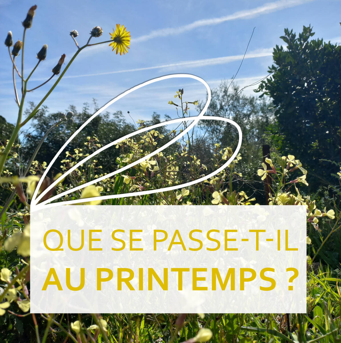 You are currently viewing Le printemps aux ruches