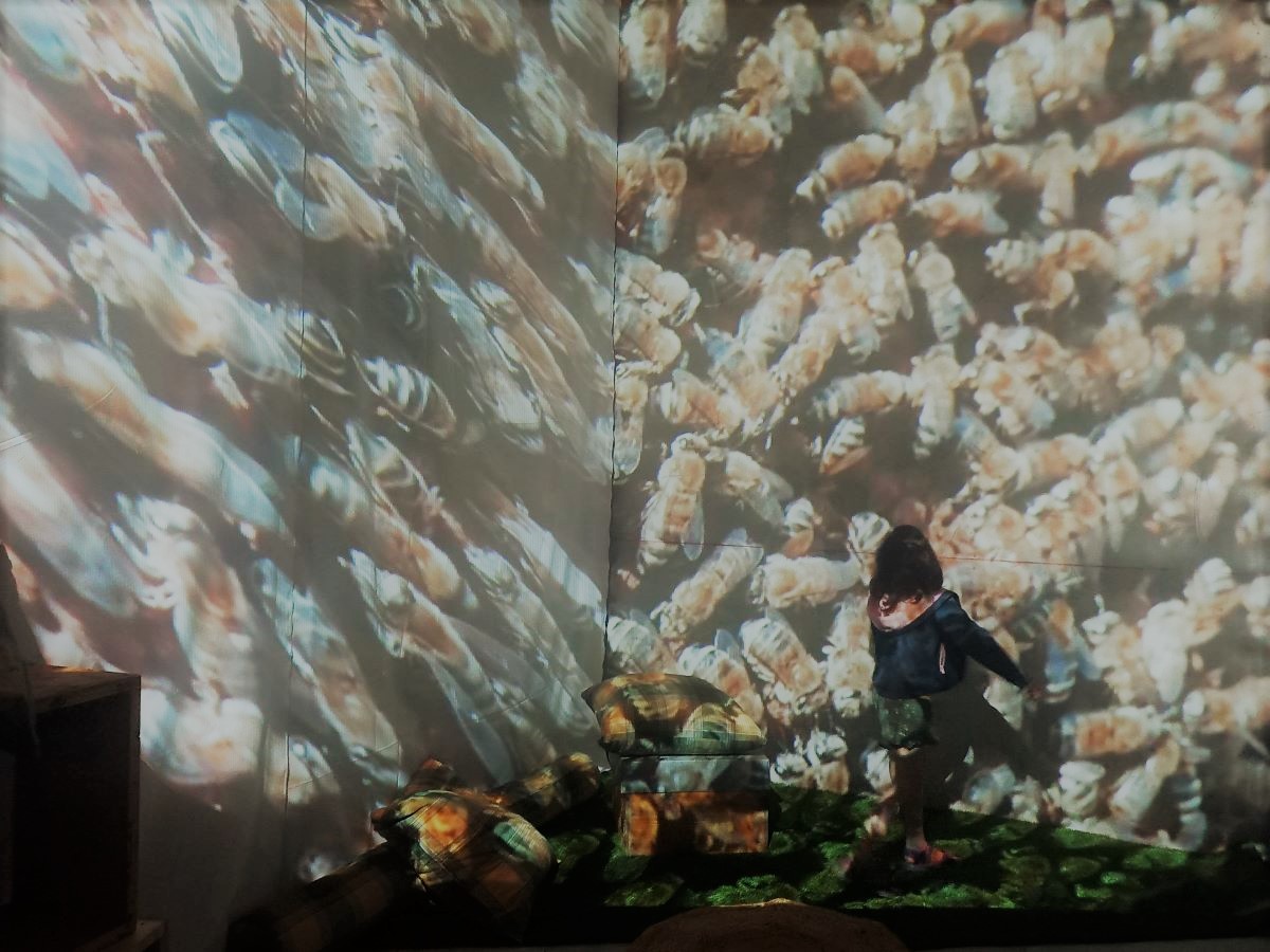 You are currently viewing Cinem’Abeille