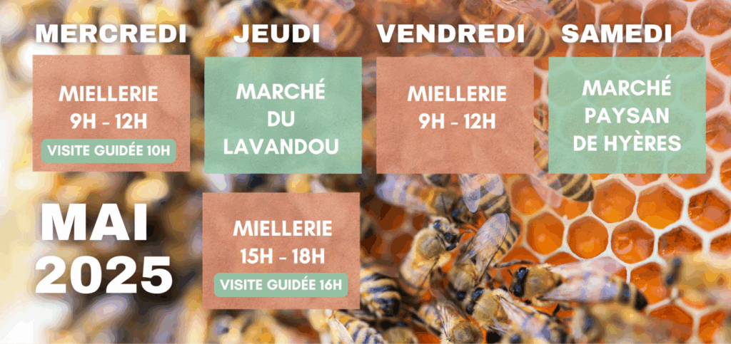 Horaires mai 2025
