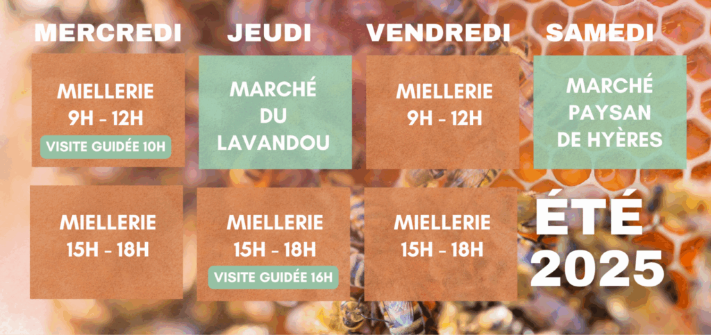 Horaires été 2025