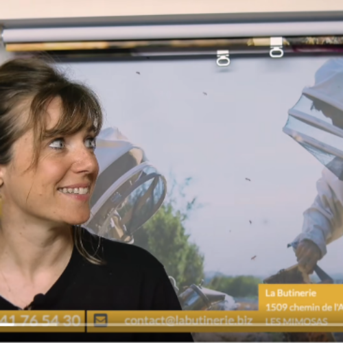 Reportages : On vous dit tout !